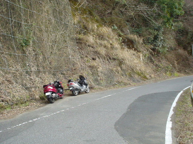 a0116205_212965.jpg
