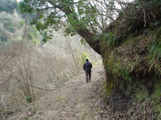 a0116205_2130936.jpg