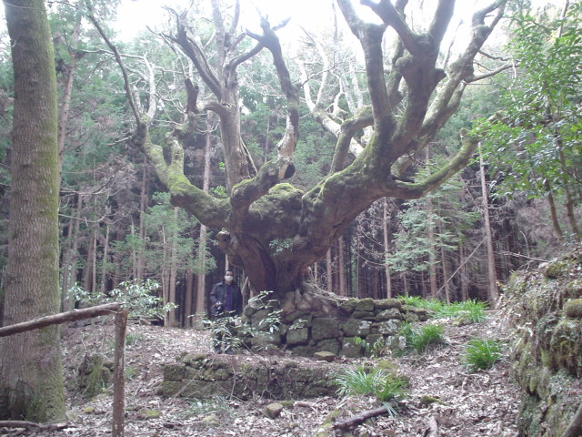 a0116205_21312099.jpg