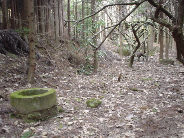 a0116205_21455639.jpg
