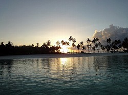 e0220205_2348578.jpg