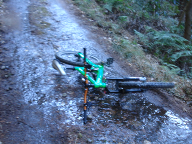 e0015108_8253729.jpg