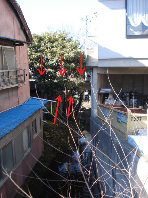 e0015108_8363955.jpg