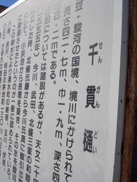 e0015108_837399.jpg