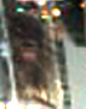 e0103408_14315448.jpg