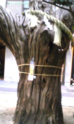 e0103408_21361476.jpg