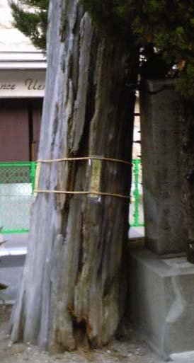 e0103408_21363063.jpg