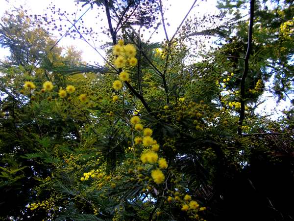 b0064411_8432780.jpg