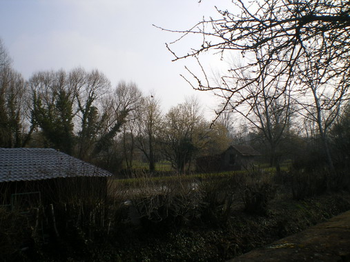 c0124619_136126.jpg