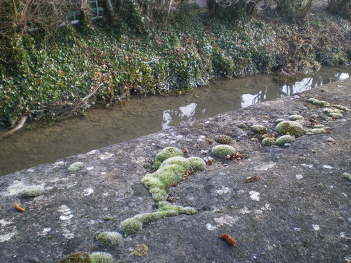 c0124619_1363979.jpg
