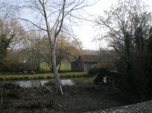 c0124619_1365779.jpg