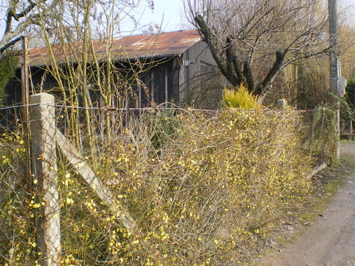 c0124619_1381378.jpg