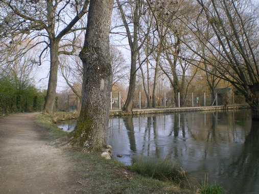 c0124619_1395063.jpg