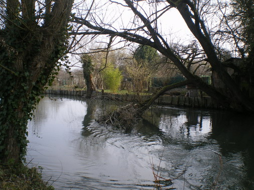 c0124619_1412620.jpg