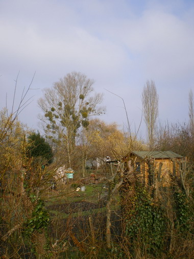 c0124619_1414870.jpg