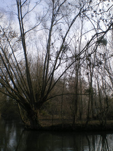 c0124619_141758.jpg