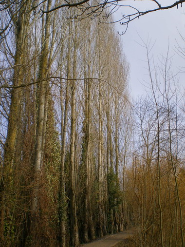 c0124619_1425570.jpg