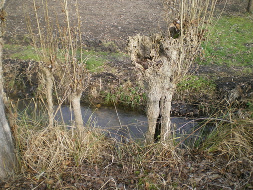 c0124619_143219.jpg