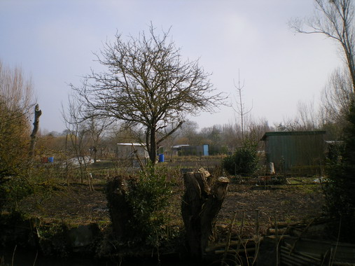 c0124619_1434486.jpg