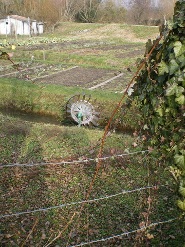 c0124619_144105.jpg