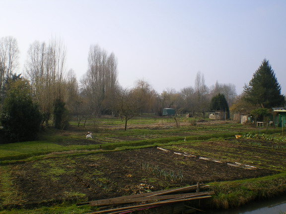 c0124619_145043.jpg