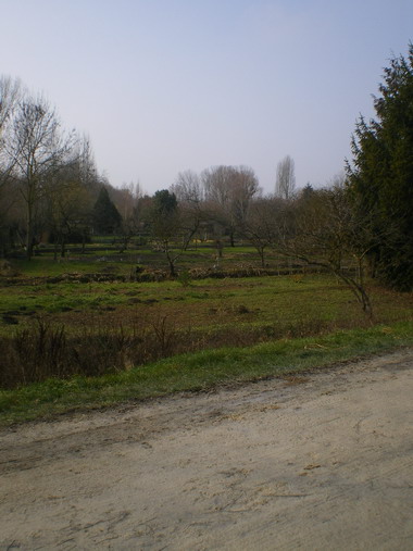 c0124619_1455864.jpg
