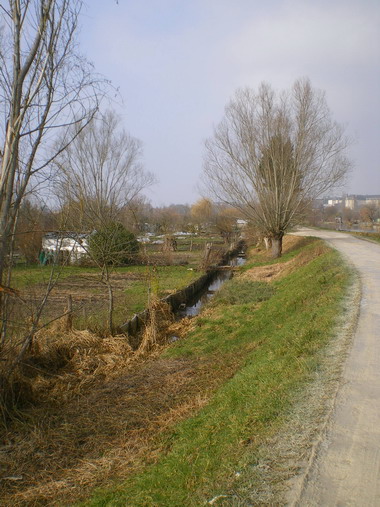 c0124619_1461693.jpg
