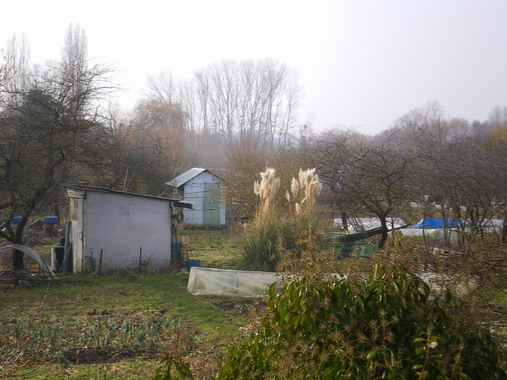 c0124619_1464965.jpg