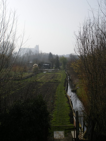 c0124619_147750.jpg