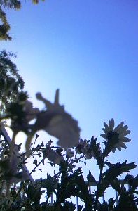 d0024220_131330100.jpg