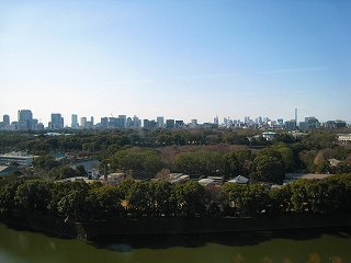 e0002820_654156.jpg