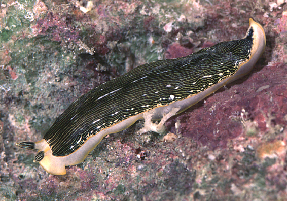 f0041021_131238.jpg