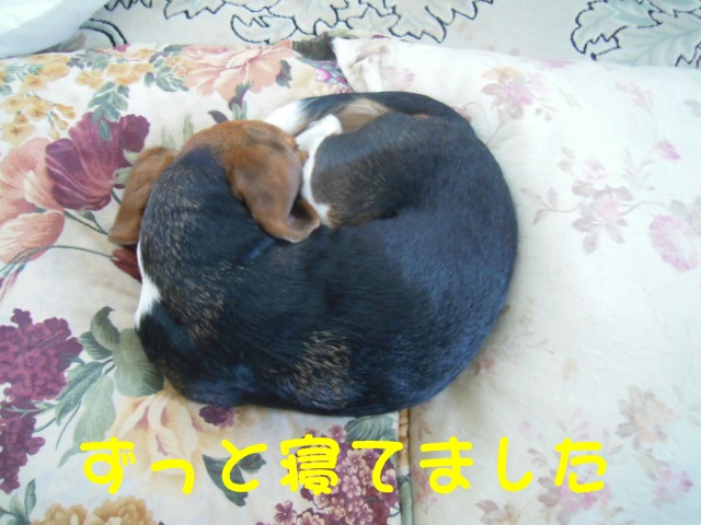 c0166622_21204019.jpg