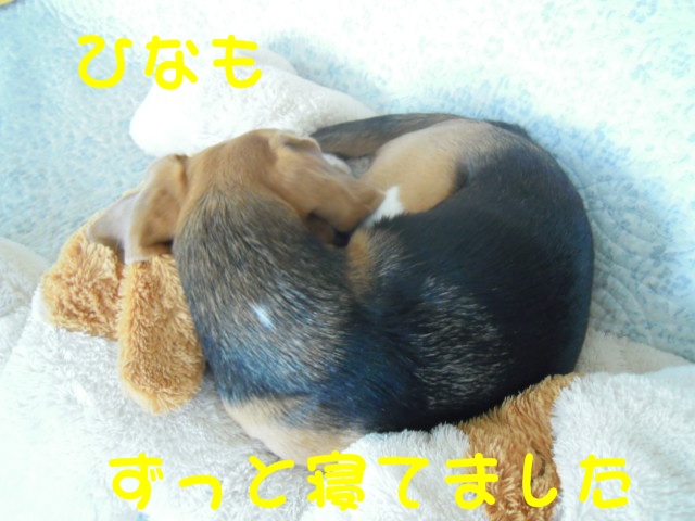 c0166622_21204871.jpg