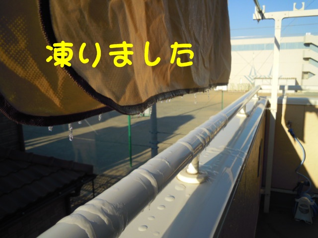 c0166622_21205525.jpg