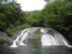 f0135222_239967.jpg
