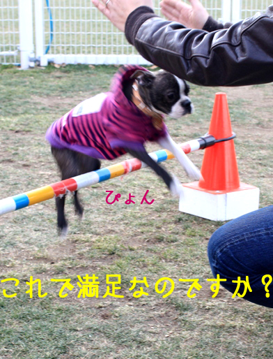 a0190132_0115192.jpg