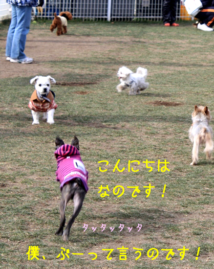 a0190132_013483.jpg