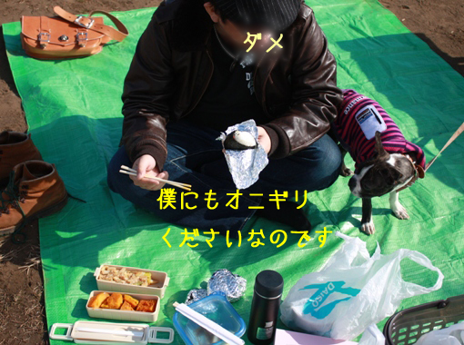 a0190132_023941.jpg