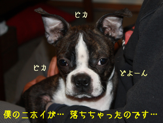 a0190132_036367.jpg