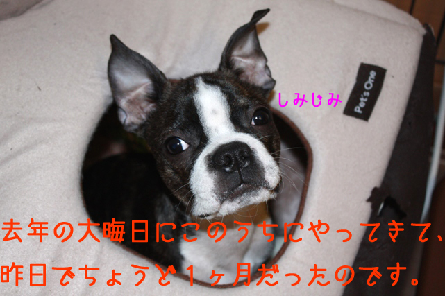 a0190132_22433559.jpg