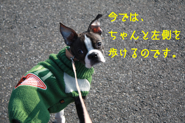 a0190132_22544158.jpg