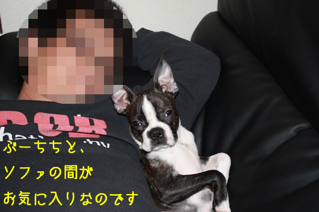 a0190132_23183147.jpg
