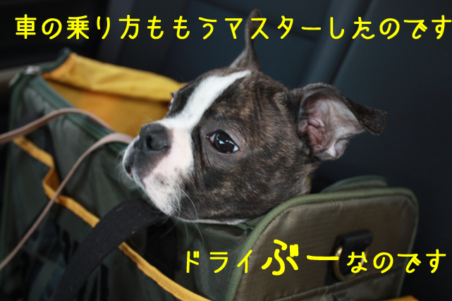 a0190132_2375596.jpg