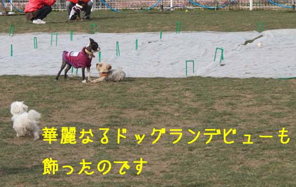 a0190132_2381237.jpg