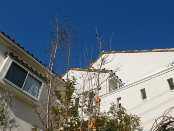 f0061334_21323333.jpg