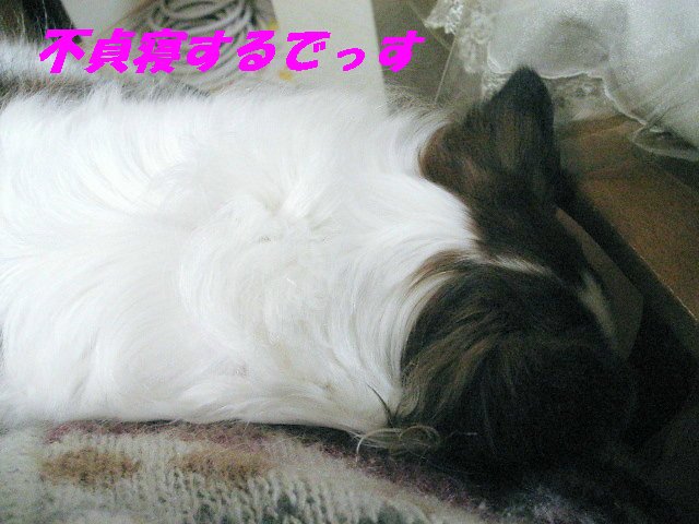 a0149240_23544484.jpg