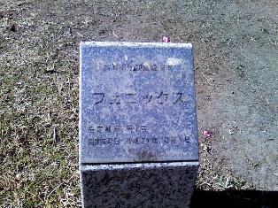 b0199742_21222540.jpg