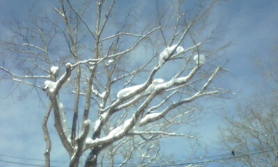 a0028444_17425931.jpg