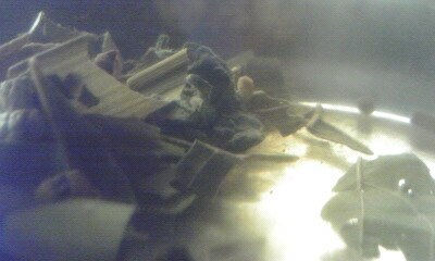 a0028444_17425951.jpg